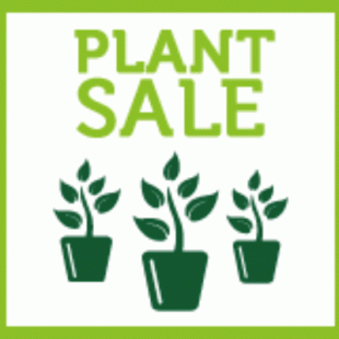 Plant Sale image