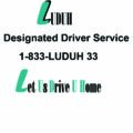Luduh Designated driver, barrie, toronto, ajax, peterbough, guelph, kitchener, waterloo, dont drink and drive, the better plan B,oshawa,newmarket,innisfil copy