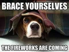 May be an image of dog, fireworks and text that says 'BRACE YOURSELVES THE FIREWORKS ARE COMING'