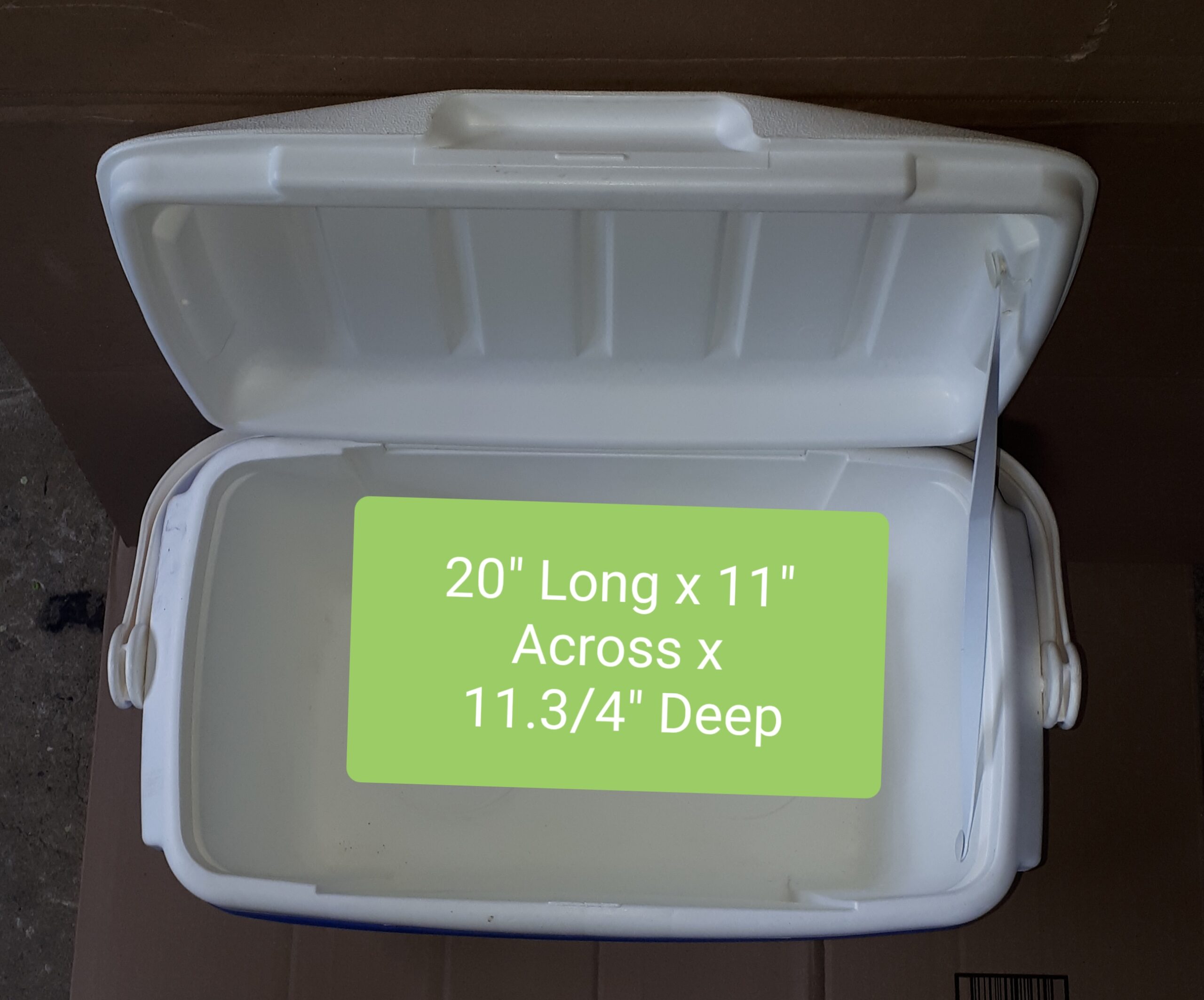THERMOS MED SIZE COOLER MEASUREMENTS
