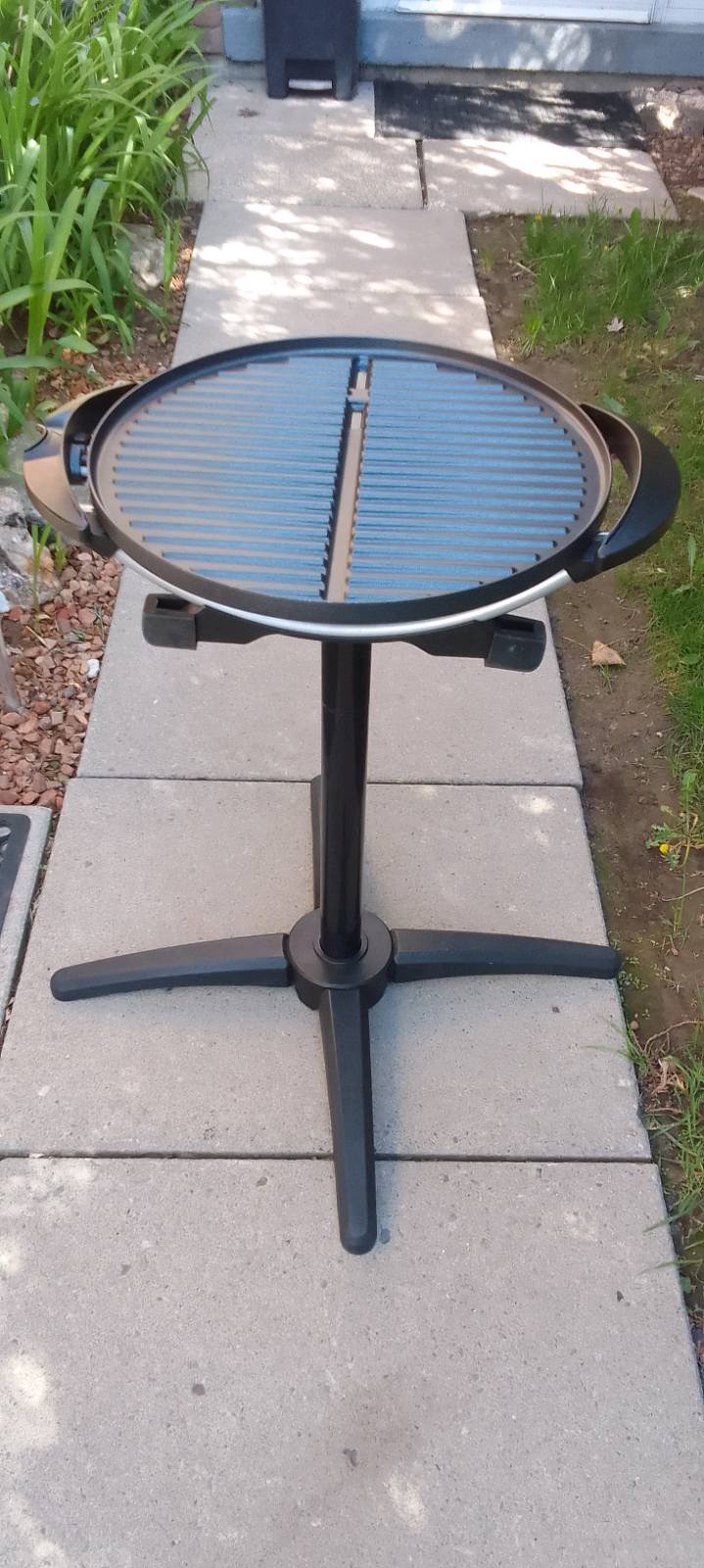 BBQ PIC 2