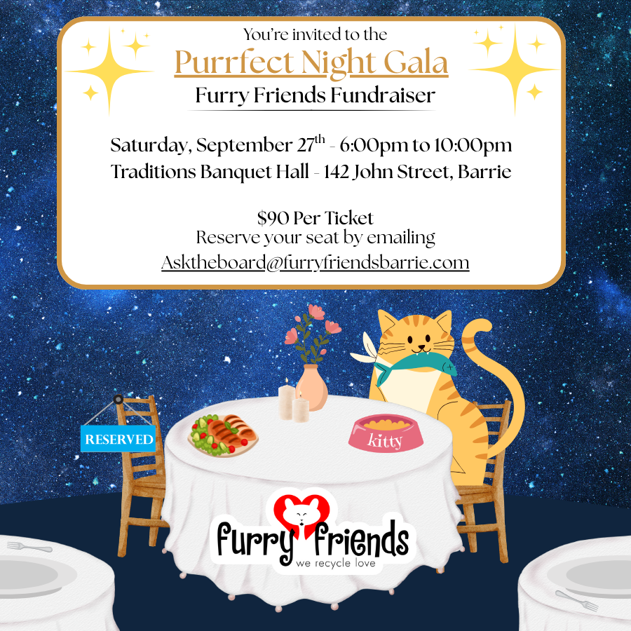 Purrfect Night Gala (1)