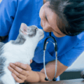 Vet Tech Services