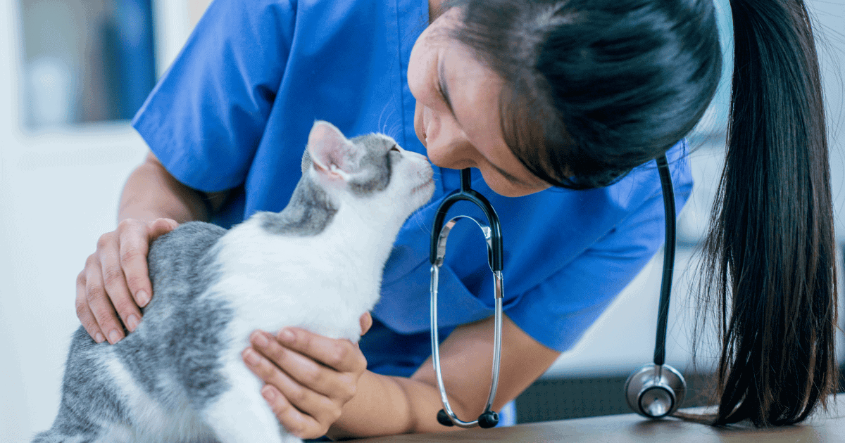 Vet Tech Services