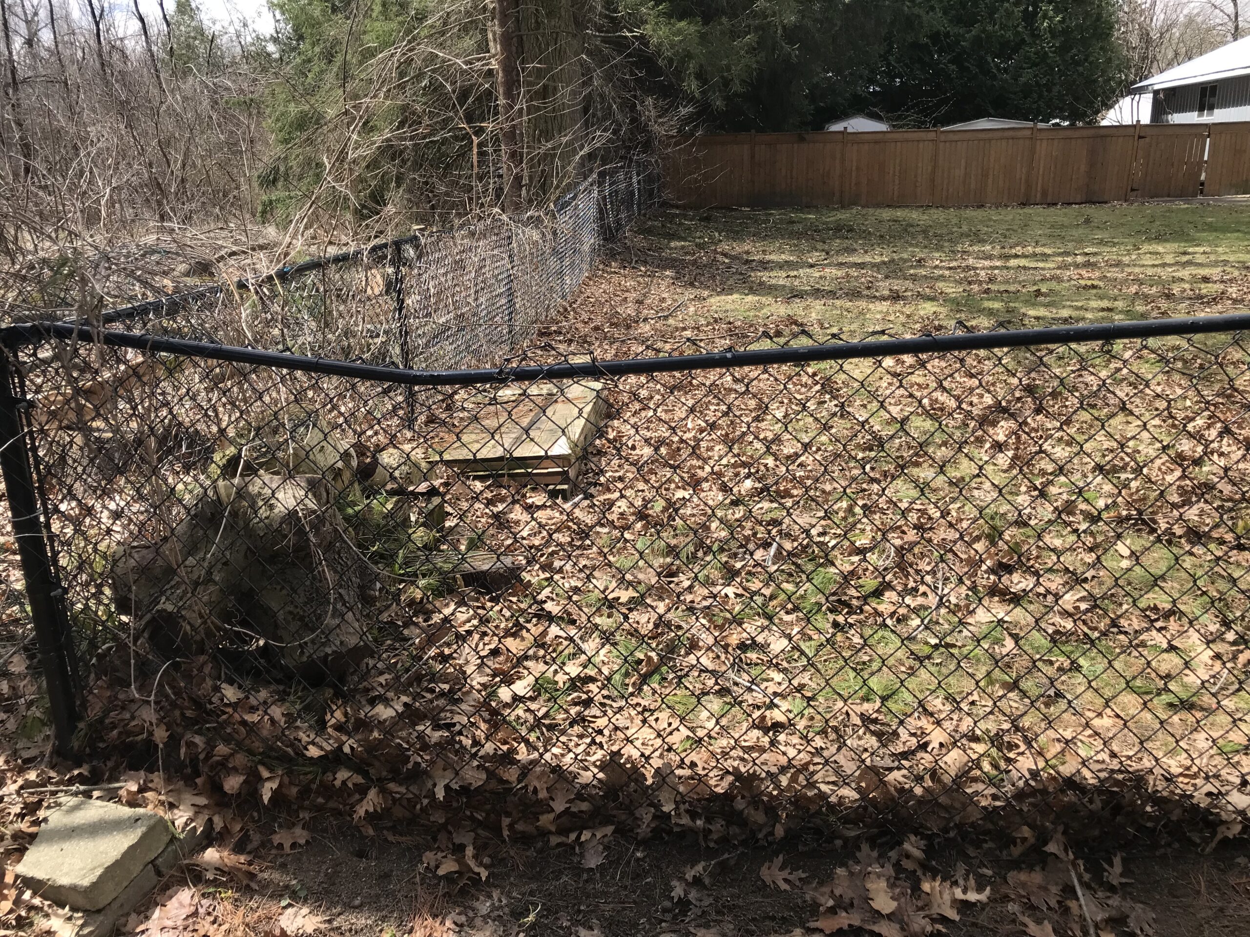 76703225365__49F6478B-AB81-43FB-9B2A-3E0D482B11AE