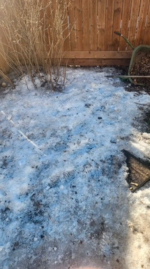 Screenshot 2025-04-20 at 20-55-15 Dog waste removal $32.99 a week Animal & Pet Services Edmonton Free local classifieds - Kijiji